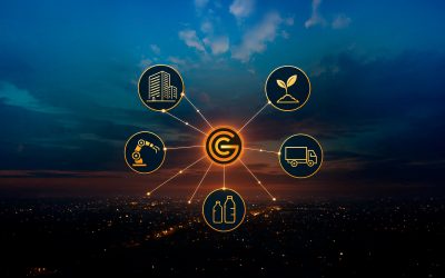 Grupo Contreras: un holding con visión de futuro y compromiso local