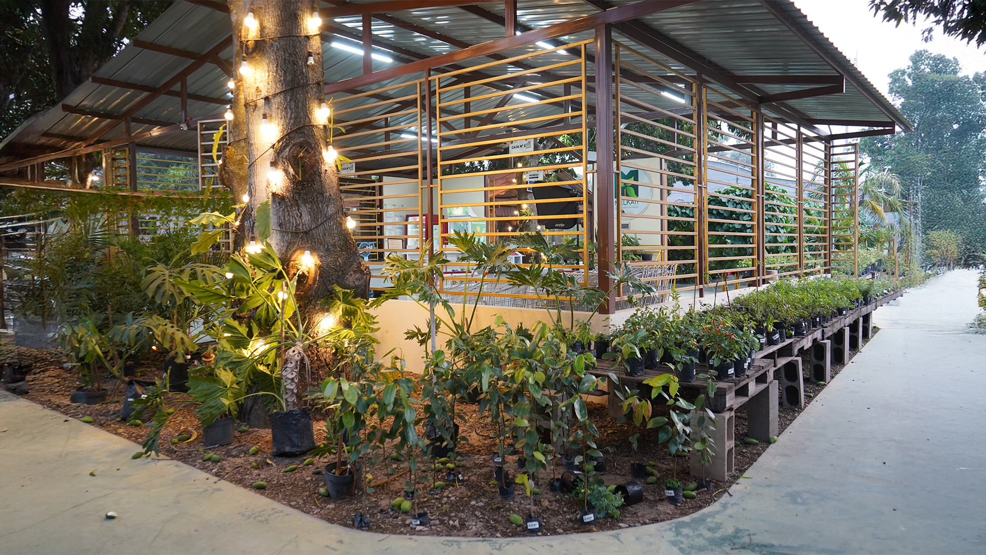 Innovación tecnológica